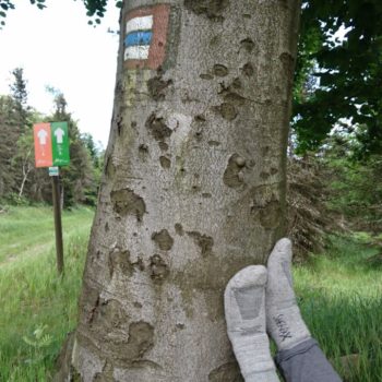 SHERPAX na Zelené stezce