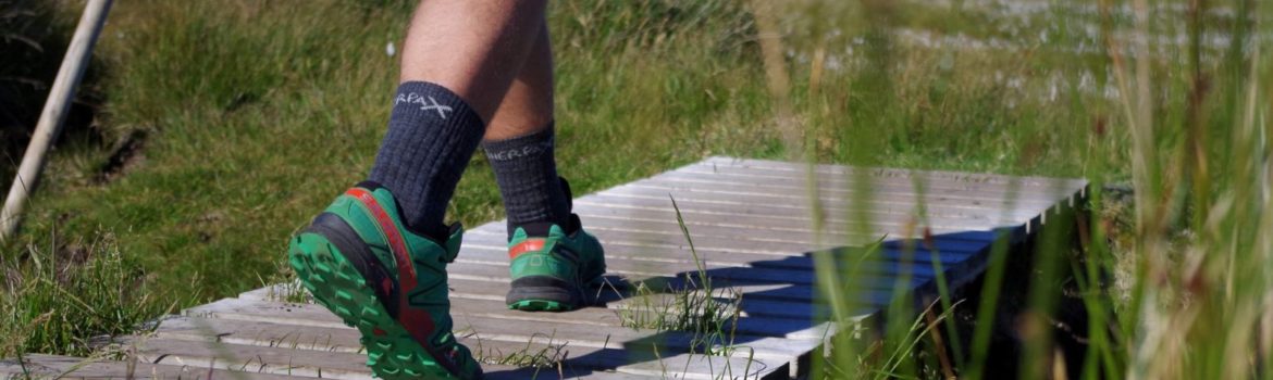 Ponožky z merino vlny, které můžete nosit po celý rok